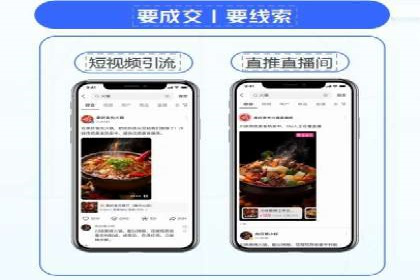 竞价托管与SEO结合的案例分析